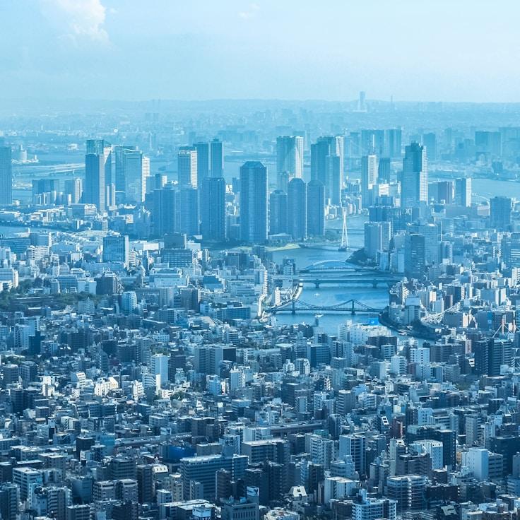 Louis Dupont - Expat family life guide in France